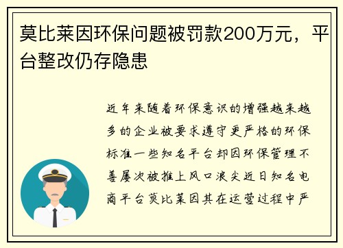 莫比莱因环保问题被罚款200万元，平台整改仍存隐患