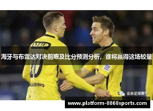 海牙与布雷达对决前瞻及比分预测分析，谁将赢得这场较量
